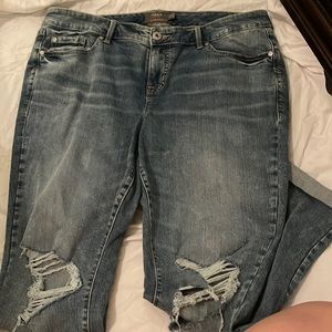 Torrid Jeans